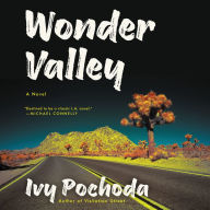 Wonder Valley: A Novel