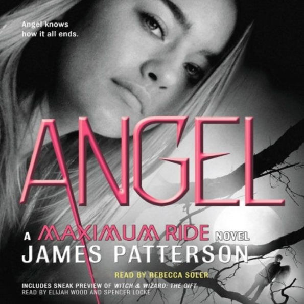 Angel (Maximum Ride Series #7)