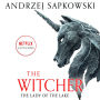 The Lady of the Lake (Witcher Series #5)