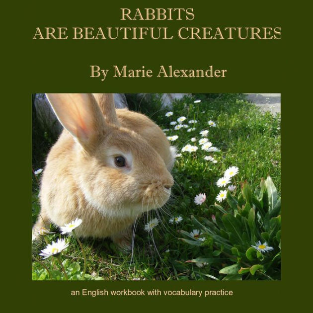 Rabbits Are Beautiful Creatures: An English Workbook With Vocabulary ...