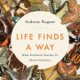 Life Finds a Way: What Evolution Teaches Us About Creativity