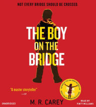 The Boy on the Bridge