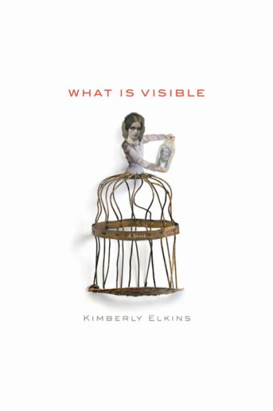 What Is Visible: A Novel