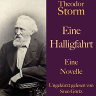 Theodor Storm: Eine Halligfahrt: Eine Novelle. Ungekürzt gelesen. (Abridged)