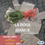 La Rosa Bianca e la Forza delle Parole