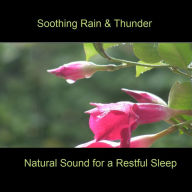 Soothing Rain & Thunder