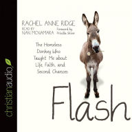 Flash: The Homeless Donkey Who Taught Me about Life, Faith, and Second Chances