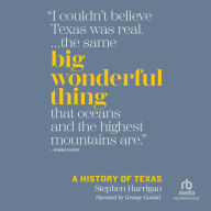 Big Wonderful Thing: A History of Texas