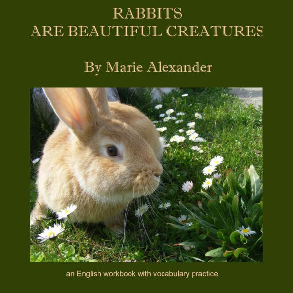 Rabbits Are Beautiful Creatures: An English Workbook With Vocabulary Practice - Beginner