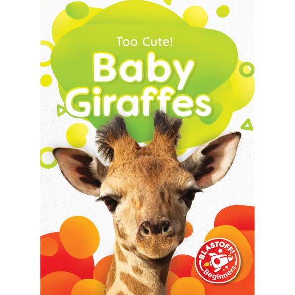 Baby Giraffes