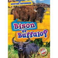 Bison or Buffalo?