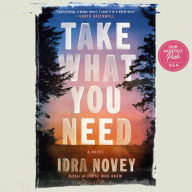 Take What You Need: A Novel