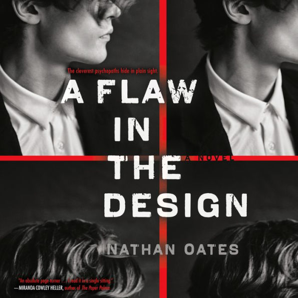 A Flaw in the Design: A Novel