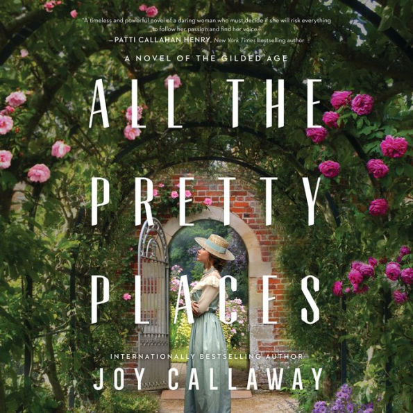 All the Pretty Places: A Novel of the Gilded Age