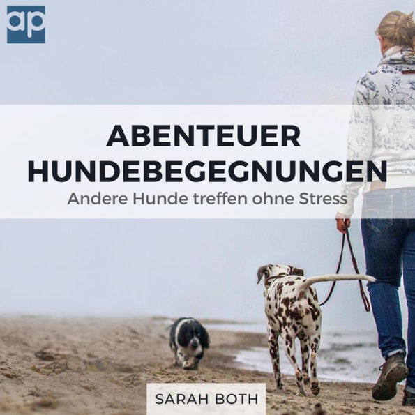 Abenteuer Hundebegegnungen: Andere Hunde treffen ohne Stress