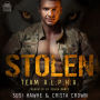 Stolen: An MM Mpreg Romance