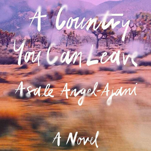 A Country You Can Leave: A Novel
