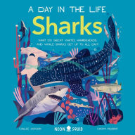 Sharks (A Day in the Life): What Do Great Whites, Hammerheads, and Whale Sharks Get Up To All Day?