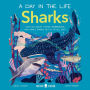 Sharks (A Day in the Life): What Do Great Whites, Hammerheads, and Whale Sharks Get Up To All Day?