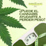 ¿Puede el cannabis ayudarte a perder peso?