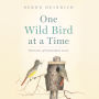 One Wild Bird at a Time: Portraits of Individual Lives