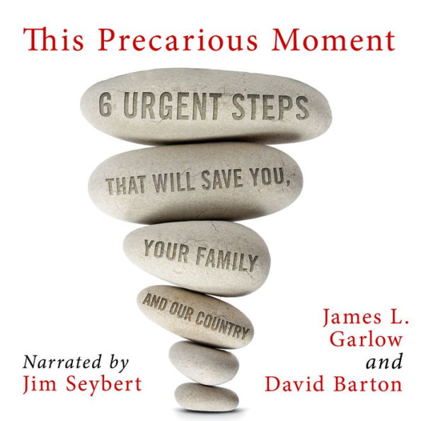 This Precarious Moment: Six Urgent Steps that Will Save You, Your Family, and Our Country