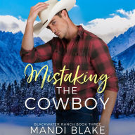 Mistaking the Cowboy: A Contemporary Christian Romance