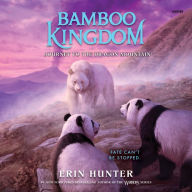 Journey to the Dragon Mountain (Bamboo Kingdom #3)