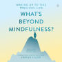 What's Beyond Mindfulness?: Waking Up to this Precious Life