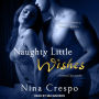 Naughty Little Wishes