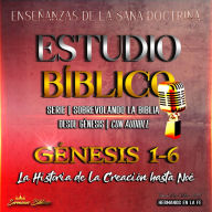 Estudio Bíblico Génesis 1-6 (Serie Sobrevolando la Biblia): Enseñanzas de la Sana Doctrina: La Historia de la Creación hasta Noé