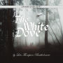 WHITE DOVE, THE: A princess, a patriot, a prisoner--Tasha's quest for freedom.