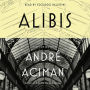 Alibis: Essays on Elsewhere