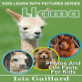 Llama: Photos and Fun Facts for Kids