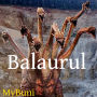 Balaurul: romana