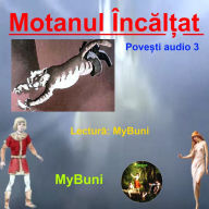 Motanul Incaltat: Romana