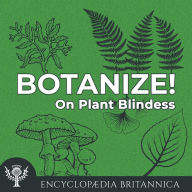 On Plant Blindness