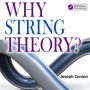Why String Theory?