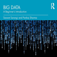 Big Data: A Beginner's Introduction