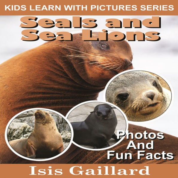 Barnes & Noble Seals and Sea Lions Photos and Fun Facts for Kids The