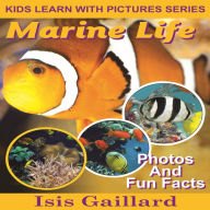 Marine Life: Photos and Fun Facts for Kids