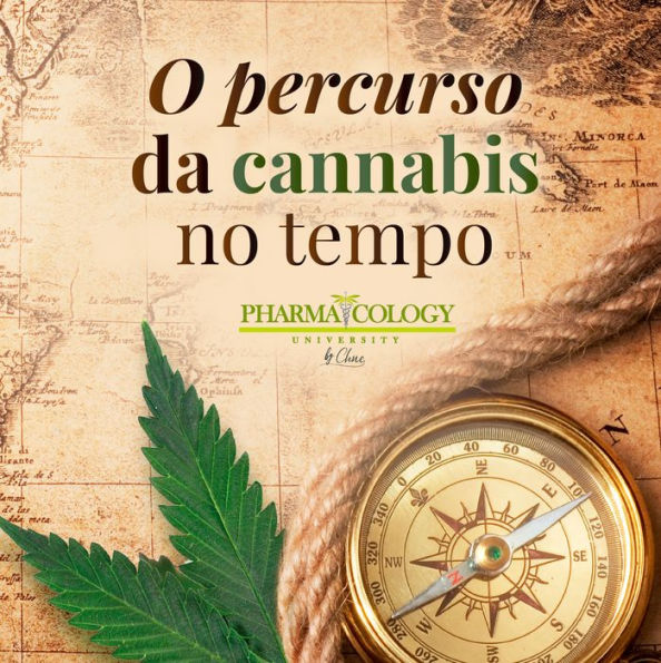 O percurso da cannabis no tempo