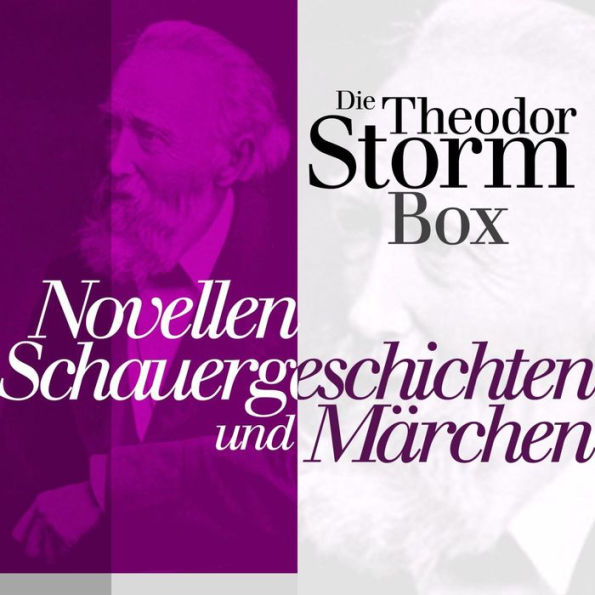 Novellen, Schauergeschichten und Märchen: Die Theodor Storm Box (Abridged)