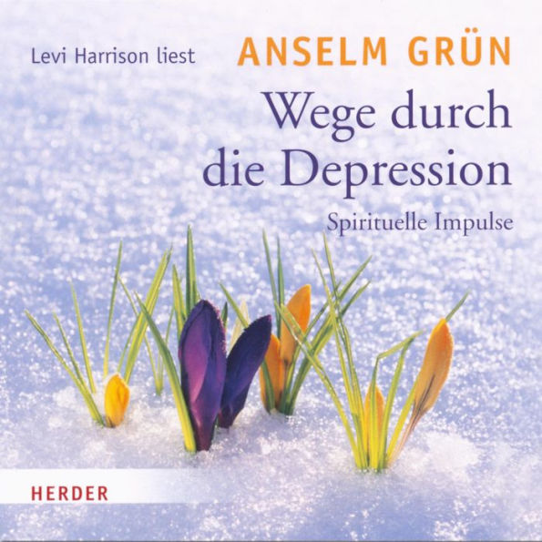 Wege durch die Depression: Spirituelle Impulse (Abridged)