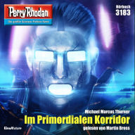 Perry Rhodan 3183: Im Primordialen Korridor: Perry Rhodan-Zyklus 