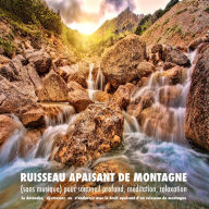 Ruisseau apaisant de montagne (sans musique) pour sommeil profond, méditation, relaxation: Se détendre, déstresser ou s'endormir avec le bruit apaisant d'un ruisseau de montagne