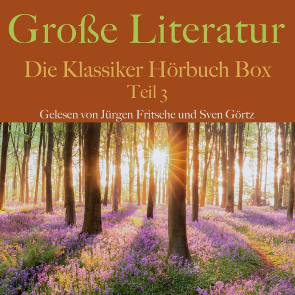 Große Literatur: Die Klassiker Hörbuch Box: Teil 3