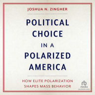 Political Choice in a Polarized America: How Elite Polarization Shapes Mass Behavior