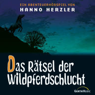 13: Das Rätsel der Wildpferdeschlucht (Abridged)