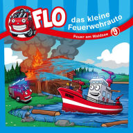 09: Feuer am Waldsee (Abridged)